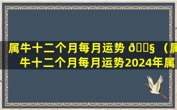 属牛十二个月每月运势 🐧 （属牛十二个月每月运势2024年属中3月份运势）